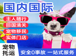 海西花土沟机场快运国际宠物托运 【国
